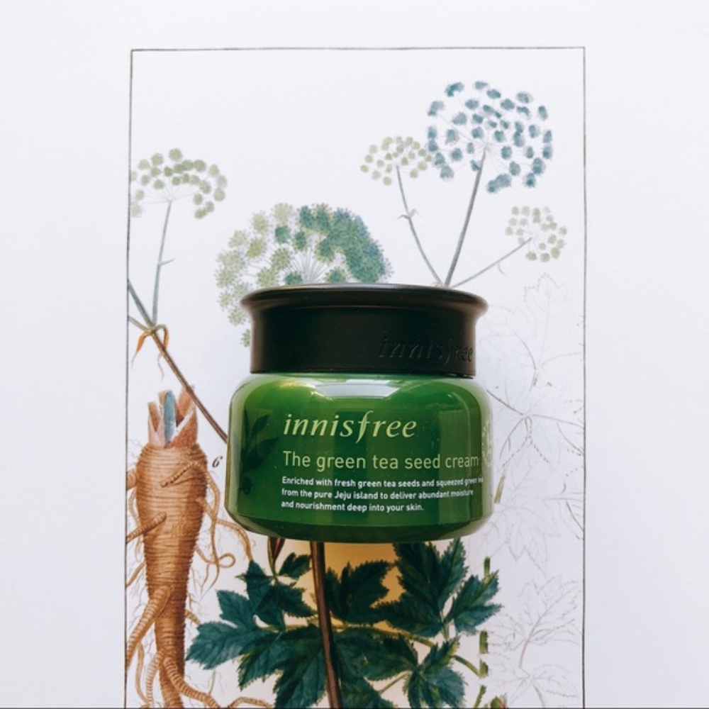 NIB INNISFREE Green Tea Seed Cream Korean Skincare